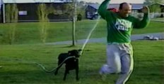 Dog Steals Hose And Sprays Owner