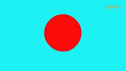 WireTree- Toronto's Best SEO & Internet Marketing Company