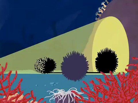 Avez-Vous Déjà Vu - Des Oursins Qui Font des Ombres Chinois