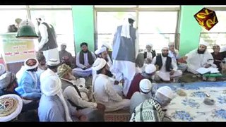 Pir Ali Raza Bukhari Alsaifi Urs Mubarak Basahan Sharif 2015 Part 2/2