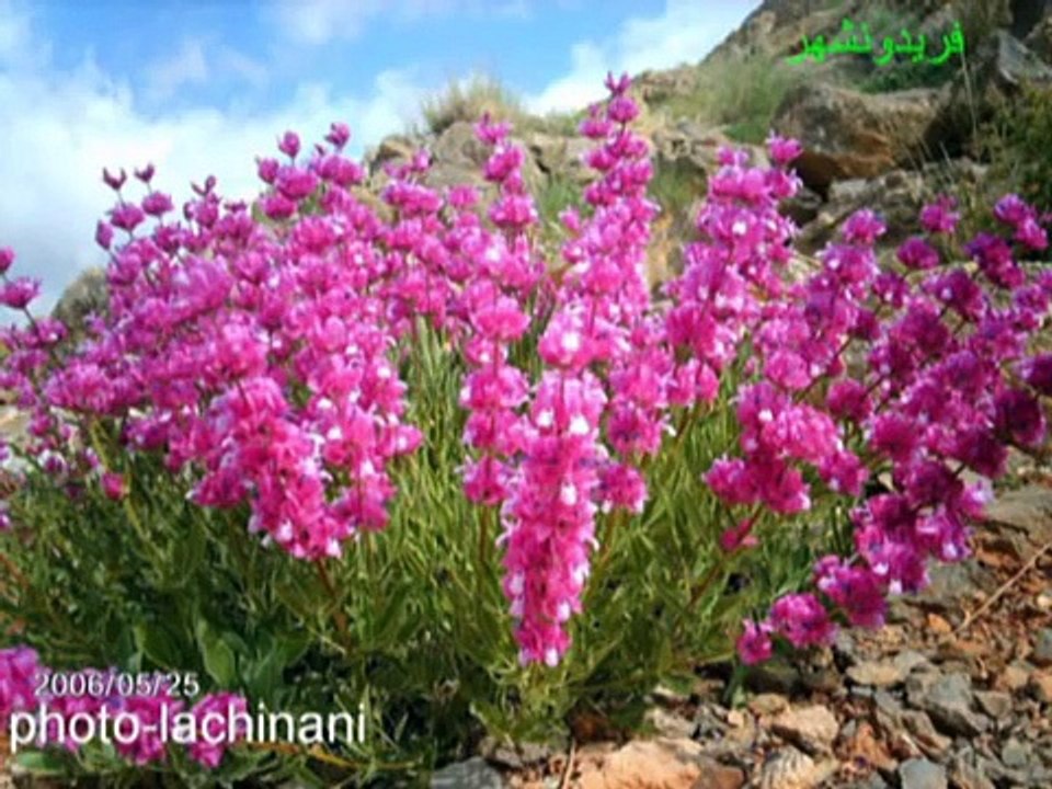 ნაწილი 1