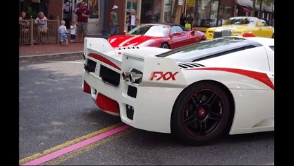 Michael Fux's Ferrari FXX
