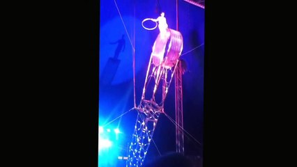 Un acrobate de cirque chute d'une roue de la mort