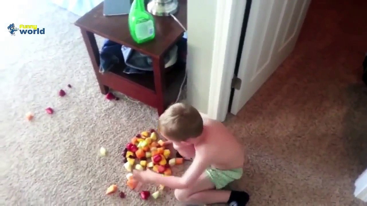 Funny Babies Licking Glass Compilation HD