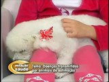 B1 | Doenças Transmitidas por Animais Domésticos | Unisul TV | Estação Saúde | 2011