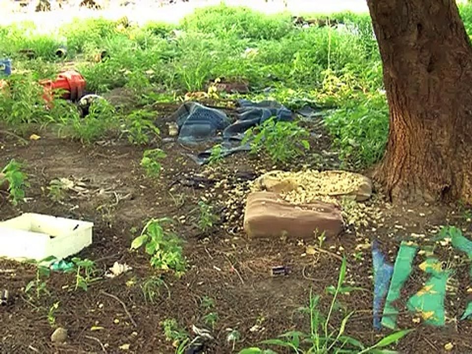 Fears of a new generation of extremist Nigerian fighters