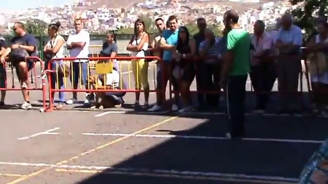 Presa Canario Muestra - Guia 2012 - Trabajo