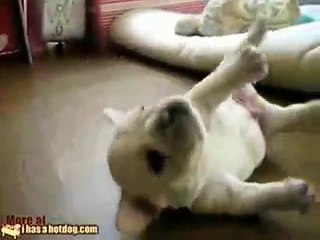 The Stylistics-Rockin' Roll Baby