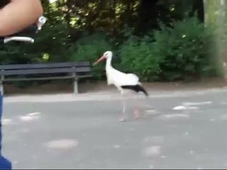 On s'amuse comme on peut