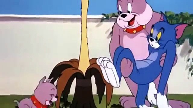 -Tom and Jerry - 076 - That's My Pup! [1953]