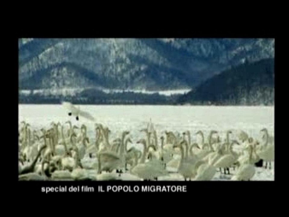 IL POPOLO MIGRATORE - Trailer Speciale