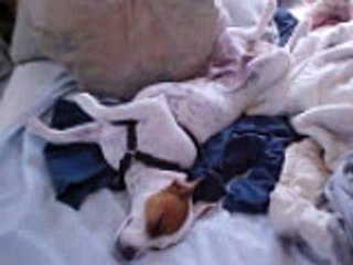 A light hearted video