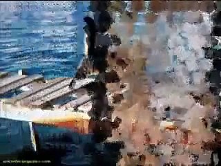 ***** Funny Cats 5 *****