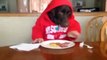 Funny animal , dog eating like human 2014