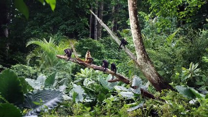 Redécouvrez les joies de la cuisine
