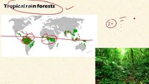 1.5 biome (Levels of Organization in Ecology: Environment and Ecology