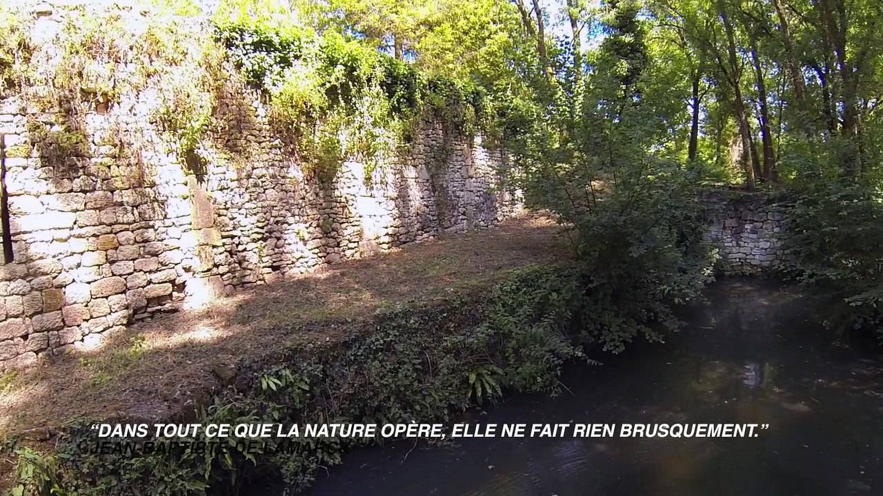 Parc vue d'un drone.