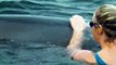 Dusty the Wild Bottlenose Dolphin Sept 2013 - Kate Bush Mná na hÉireann