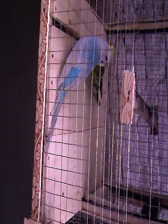 VID_20150701_122646.3gp