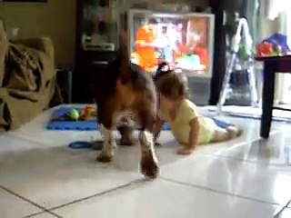 Bassets & Baby