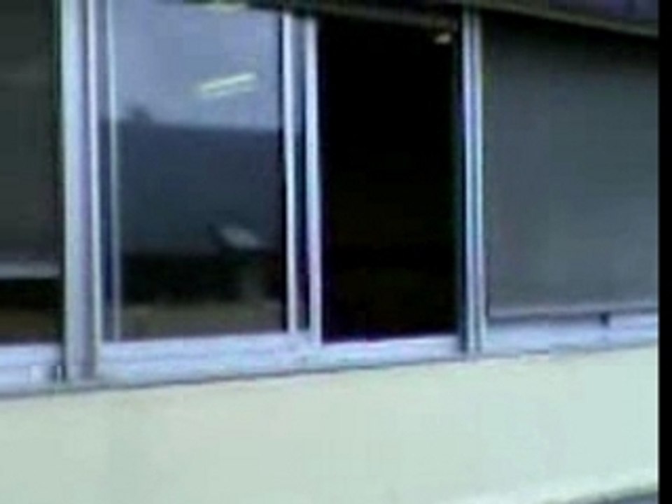 Plus bête que moi tu meurs .. non?