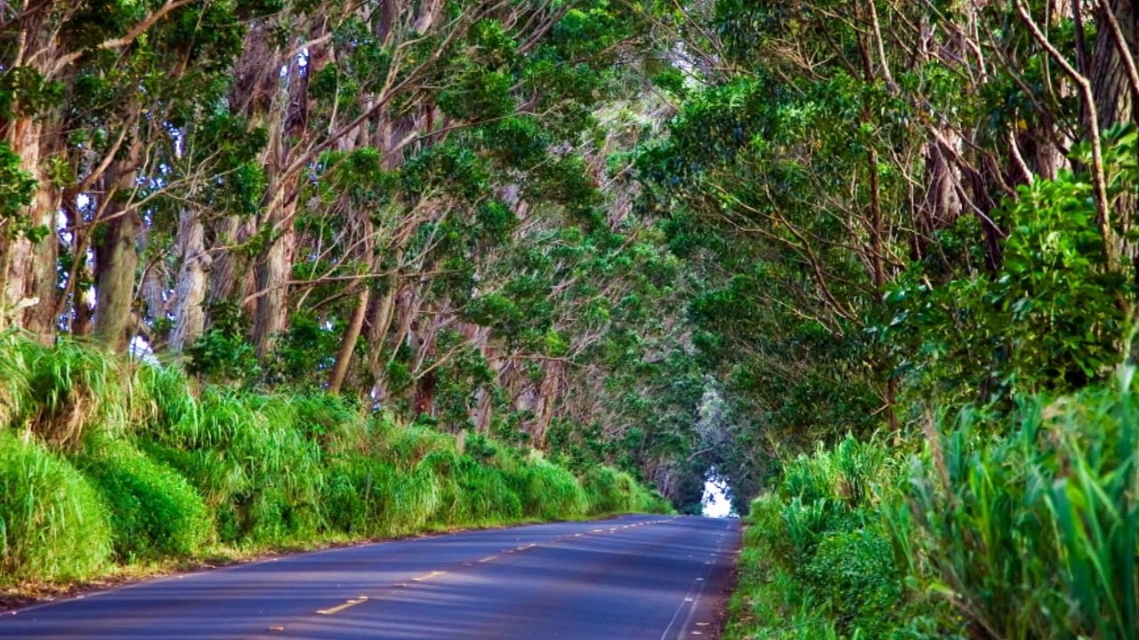 Allerton Garden Kauai Hawaii