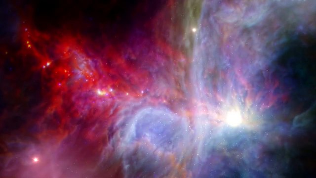 Nora The Piano Cat Dances With The Only Star Worth Dancing With