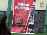 Gran Concurso de Disfraces Canino por los 65 Aniversario de la Fac. de Medicina Veterinaria