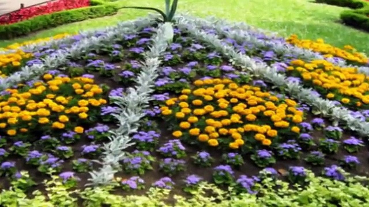 Park Oliwski Gdańsk-muzyka  Andre Rieu..
