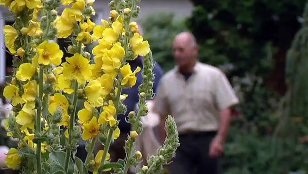 Je moet je houden aan de regels van de bij - RTV Noord