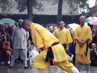 the best shaolin kungfu moves