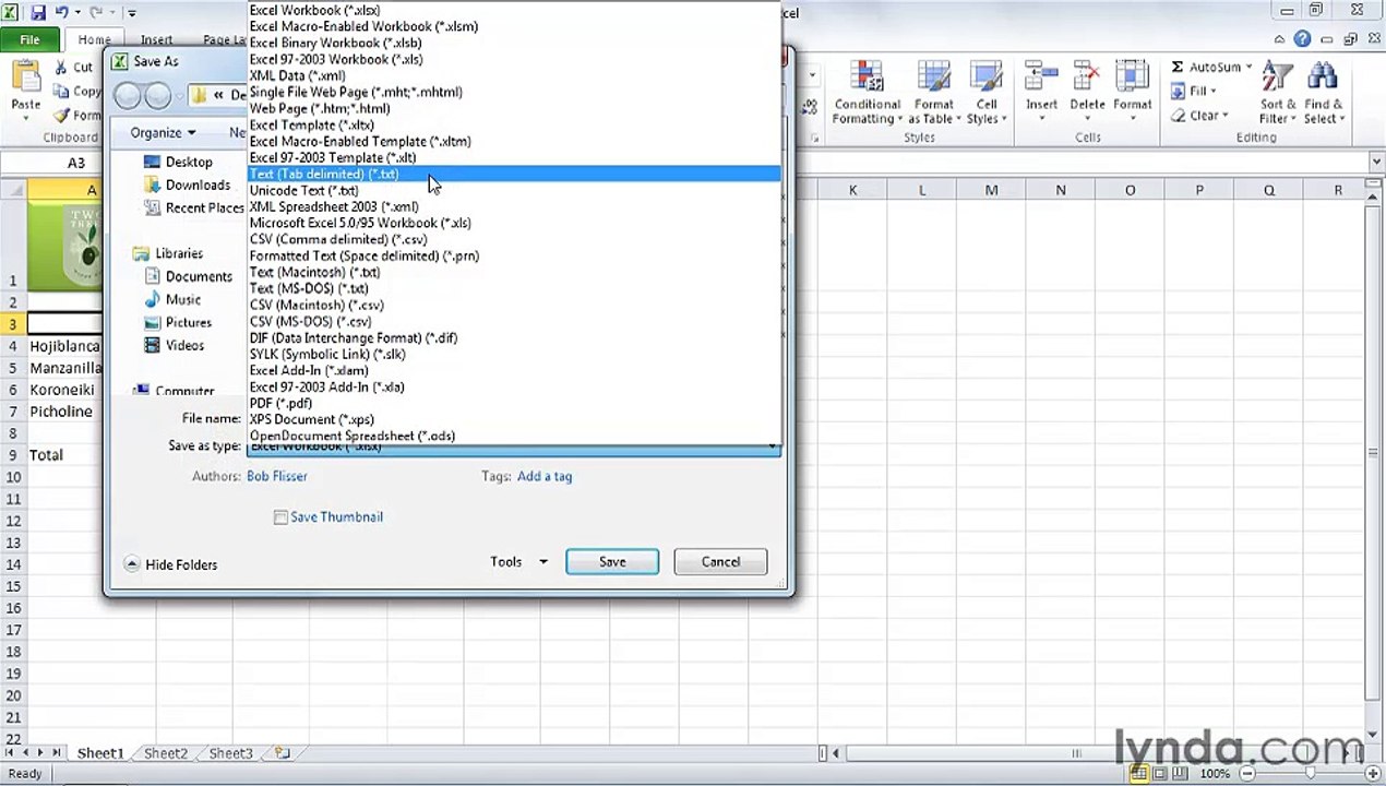 MS Excell Creating and using original templates