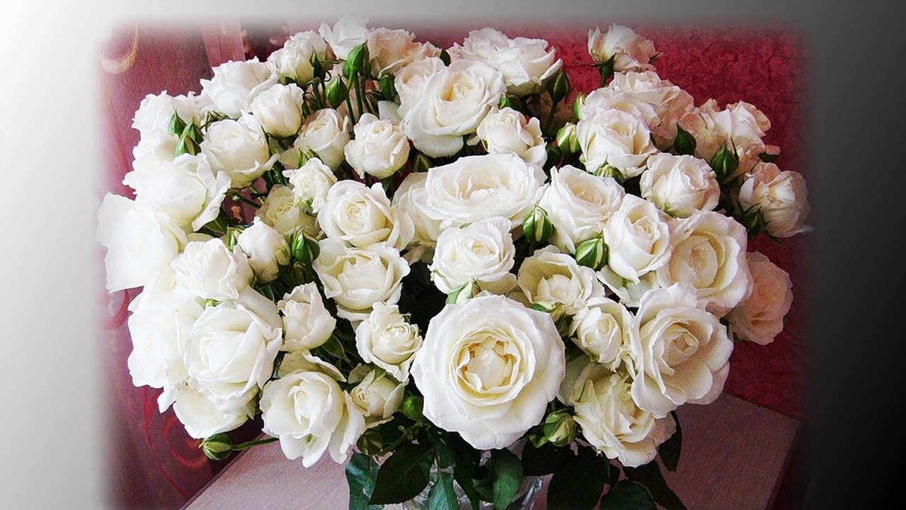 БУКЕТ ИЗ БЕЛЫХ РОЗ