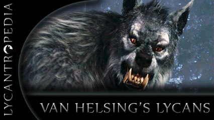 Van Helsing - Werewolf transformation