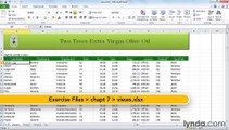 MS Excell Creating multiple custom worksheet views