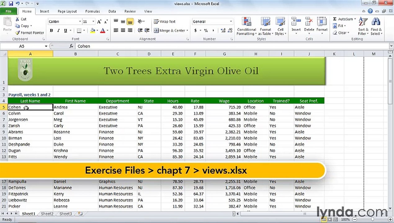 MS Excell Creating multiple custom worksheet views