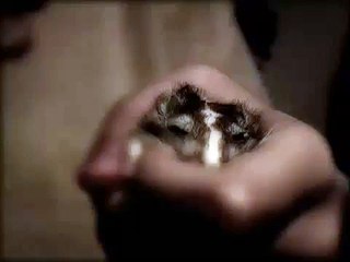 Squee the Evil Gerbil