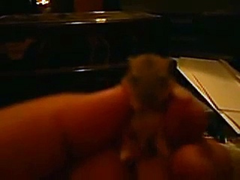 week old hamster babies eating for their first time