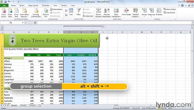 MS Excell Hiding or grouping rows and columns