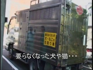 最後の瞳 Documentary work "The last EYES"Short preview