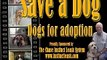 Asia adoption video.wmv
