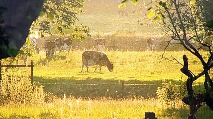 Most Haunted S01 - Special - Levens Hall