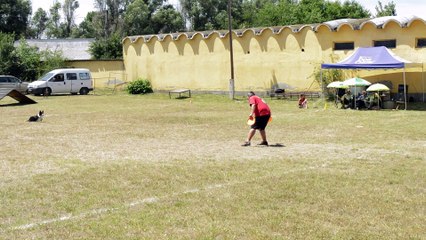 20150704 AWI - Fodor István és Bree