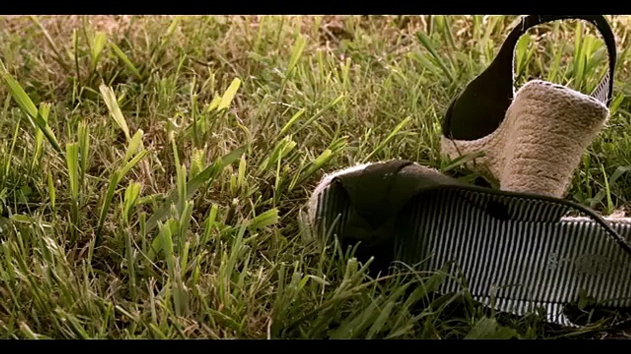 Randy Houser - How Country Feels