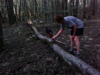 Camel, 1ers pas en agility