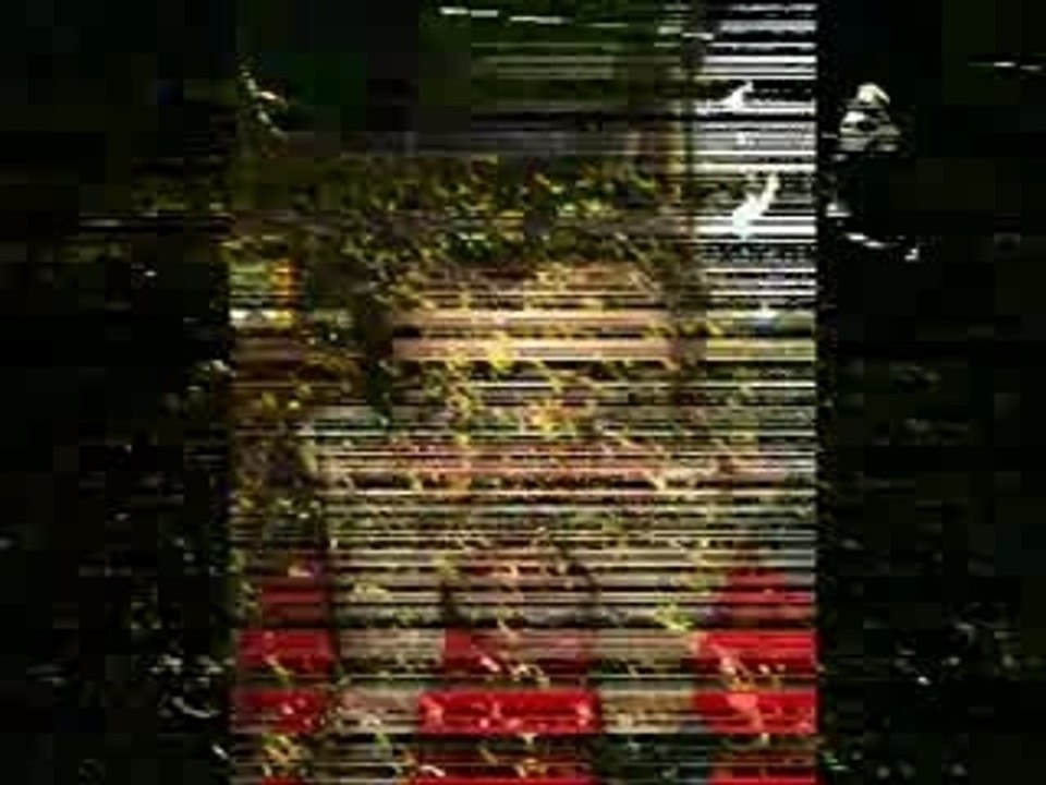 Elle est pas belle la vie