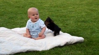 Adorable Puppy Attacks Baby