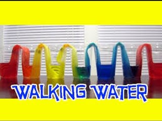 WALKING WATER Easy Kids Science Experiment