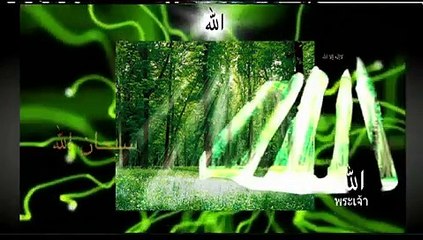 islam miracle of Allah