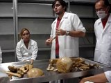 Aula de Anatomia no laboratório da UECE